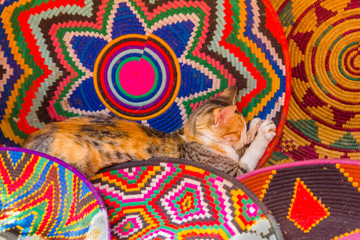 Traditional Moroccan round colorful knit mats handmade. Cute cat sleeps