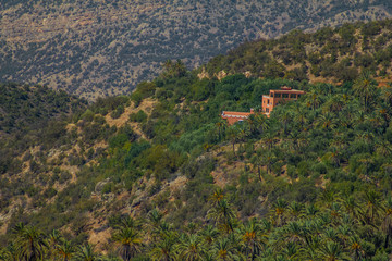 Scenic mountain valley with wild forests in Atlas Mountains, Morocco, Africa
