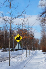 Winter landscape park with a sign "Beware of squirrels!"