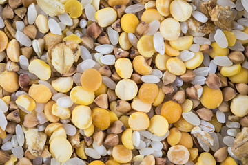Grain mixture. Macro shot is made by means of stacking technology