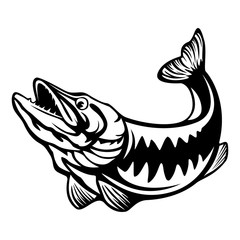 Vector illustration of jumping pike isolated. Vintage fishing emblem.