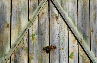 House with a green roof of boards in the village 