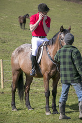Fototapeta premium Rider on Horseback in field, wearing red polo shirt, white trousers, black boots with horses in the background