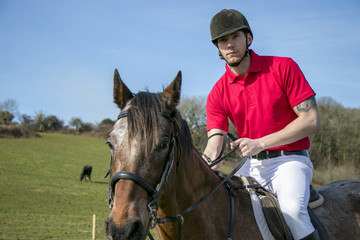 Rider on Horseback in field, wearing red polo shirt, white trousers,  black boots with horses in the background