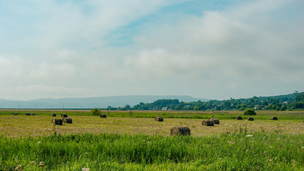 Field with haystacks rural landscape