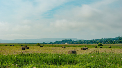Fototapeta na wymiar Field with haystacks rural landscape