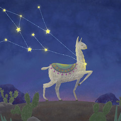 llama, who was caught in the constellation