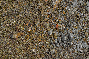 Stones on the ground. Ground and stones. Rocky soil. Rock background. Small stones