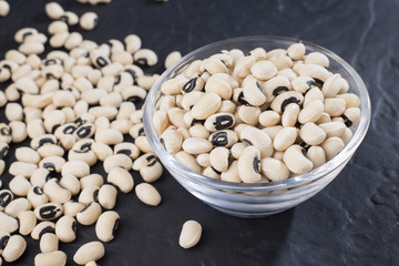 Black-headed beans, Vigna unguiculata