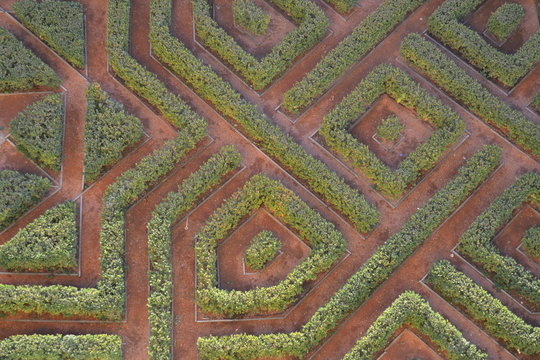 Laberinto en un jard&iacute;n