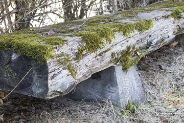 Obraz premium Wooden bench covered with moss in the nature