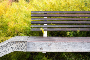 Modern urban park bench seen from the High Line in New York City in Manhattan