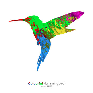 Paint Splatter Animals - Hummingbird