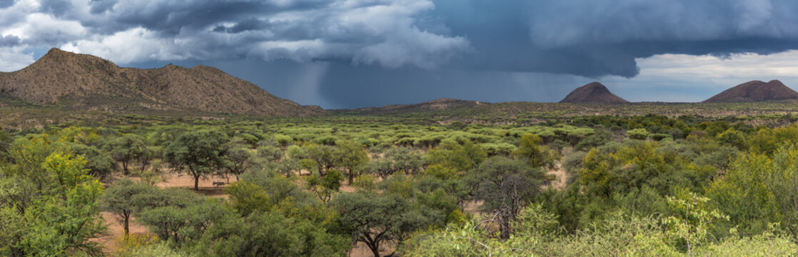 Regen &uuml;ber der Wildnis in der Region Khomas, Dordabis, Namibia, Panorama