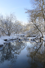 Frosty winter landscape.Snow covered trees on the riverbank.River Konchura in Moscow region,Russia. 