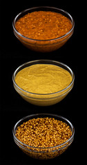 Fototapeta na wymiar Set of different types of mustard