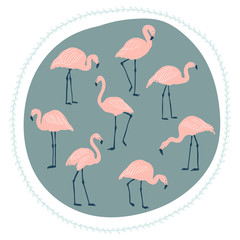 Network illustration with birds. A flock of pink flamingos. Freehand drawing