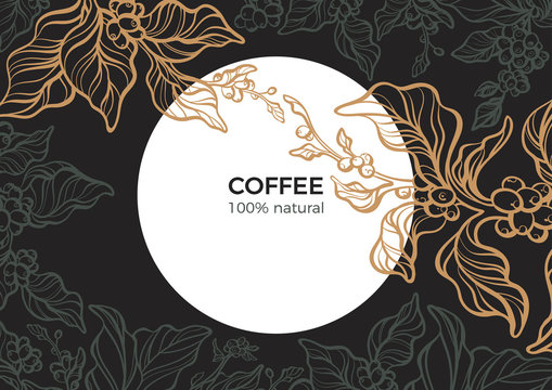Coffee branch with leaf, bean. Retro vector. Template