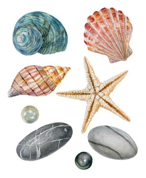 Watercolor set of isolated objects sea shells, starfish, stones, pearls