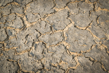 Crack soil on dry season  Global worming effect.