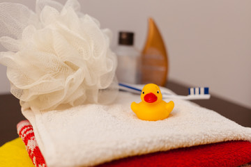Duck and towels