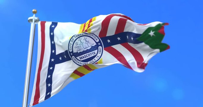 Flag of Tampa city, city of United States of America - loop