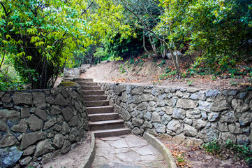 stairs in the Park.