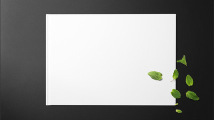 Mint leaves on white paper on black background