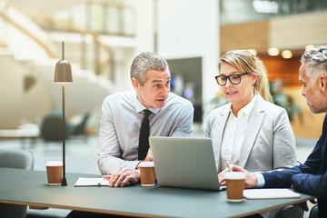 Mature businesspeople working at a table together in an office