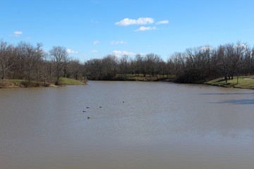 A beautiful day at the lake in the park.