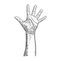 Hands in gesture and emotion. Hand sign isolated on white background. Vector.