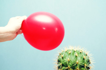 Cactus and red balloon in a hand, close up