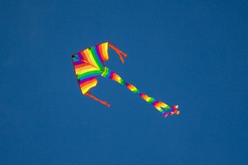 Kite flying on blue sky
