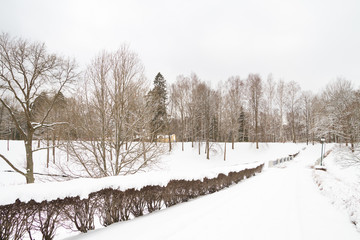 View of the winter Park in the white fluffy snow