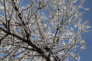 Spring Snow, End of Winter, Blue Sky