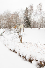 View of the winter Park in the white fluffy snow