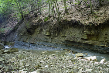 Crimea. River in the forest