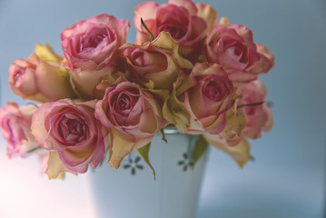 Pink roses in metal basket. Vintage decor concept. Valentine's day concept
