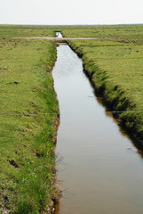 A ditch on the Hallig Hooge, Germany © Olaf