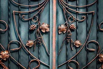 Details, structure and ornaments of forged iron gate. Floral decorative ornament, made from metal....
