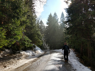 Tourist hiking within the trees on the hill in winter. Slovakia