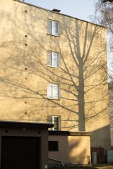 Sun light shining through trees and bushes in freezing air during winter. Slovakia	