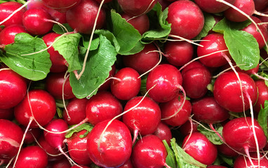 A Bunch of Radishes