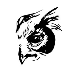 owl's head. tattoo. vector illustration