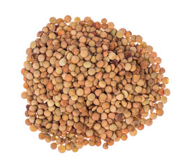 Scattering of lentils on white background closeup