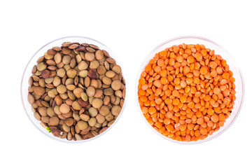 Scattering of lentils on white background closeup