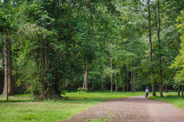 A man rides a motobike into the forest.