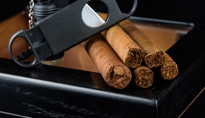 Cigars on a humidor against a black background
