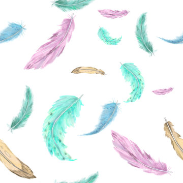 Watercolor feathers boho style clip art
