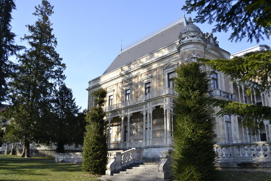 Lainzer Tiergarten In Vienna In Spring